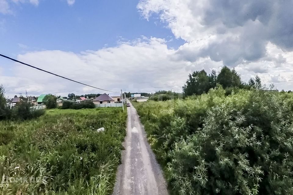 земля г Тюмень снт Царево ул Кленовая городской округ Тюмень фото 6