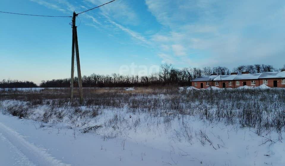 земля р-н Аксайский х Камышеваха Большелогское сельское поселение фото 5