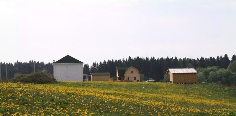 земля городской округ Можайский с. ДНП Старое фото 18