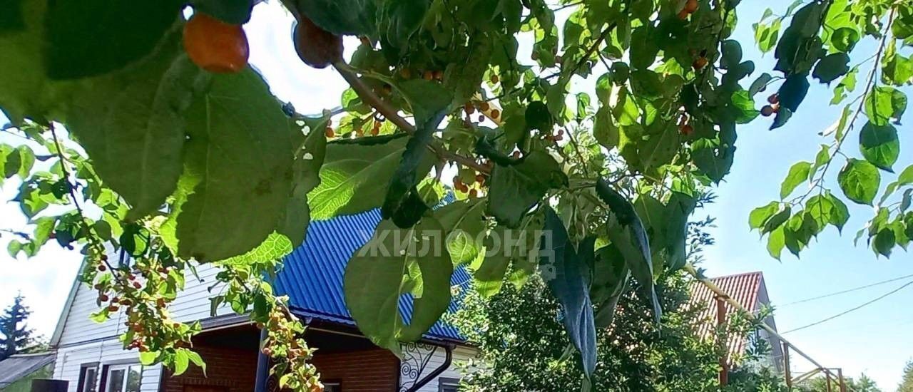 дом р-н Коченевский рп Коченево ул Садовая городское поселение Коченёво фото 1