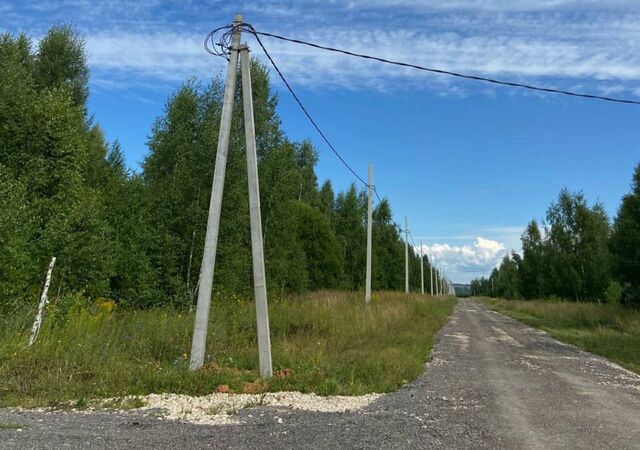 Парк культуры сельский пос. Новинки фото