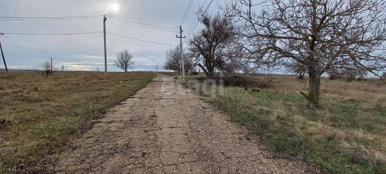 земля р-н Симферопольский с Мирное фото 3