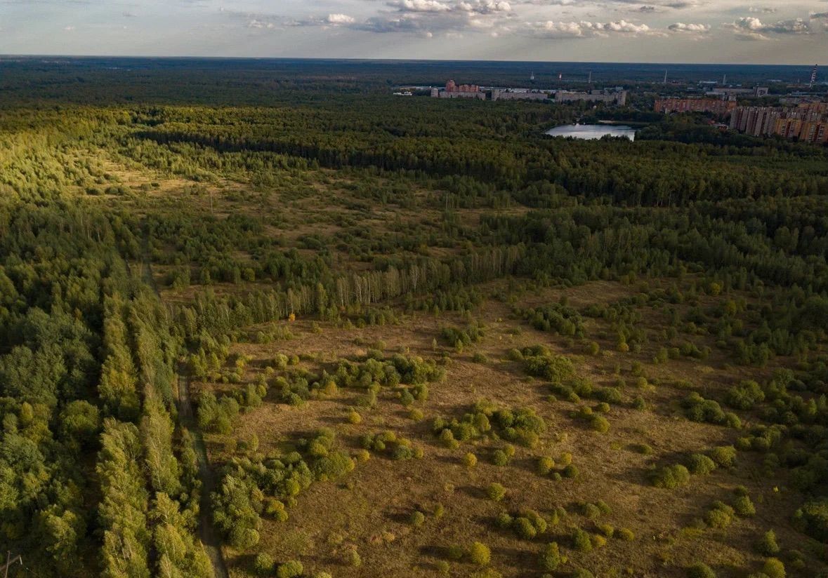 земля направление Горьковское (восток) ш Горьковское 9764 км, Электросталь фото 3