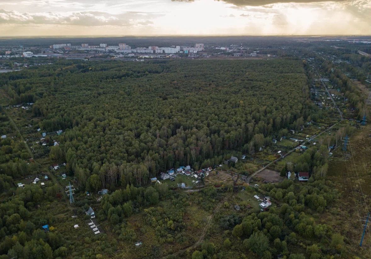 земля направление Горьковское (восток) ш Горьковское 9764 км, Электросталь фото 6