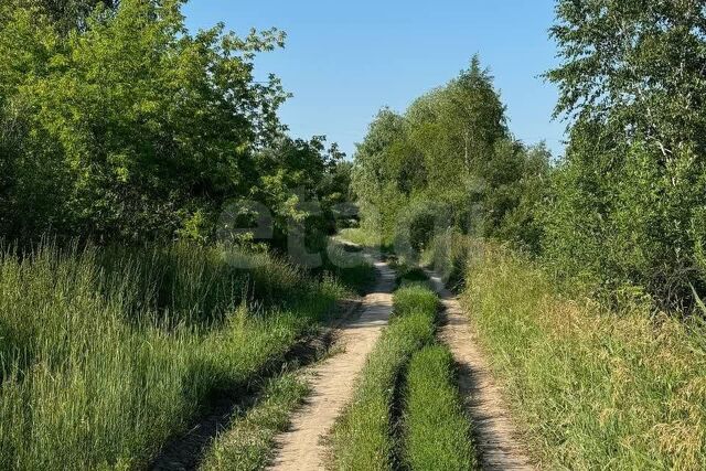 село Борки фото