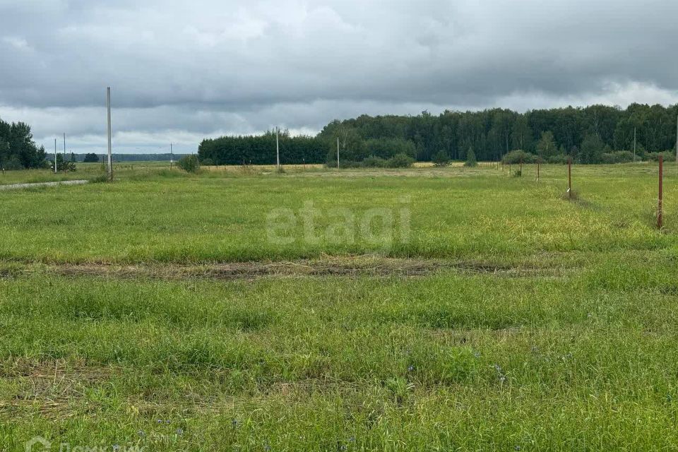 земля р-н Тугулымский село Мальцево фото 2