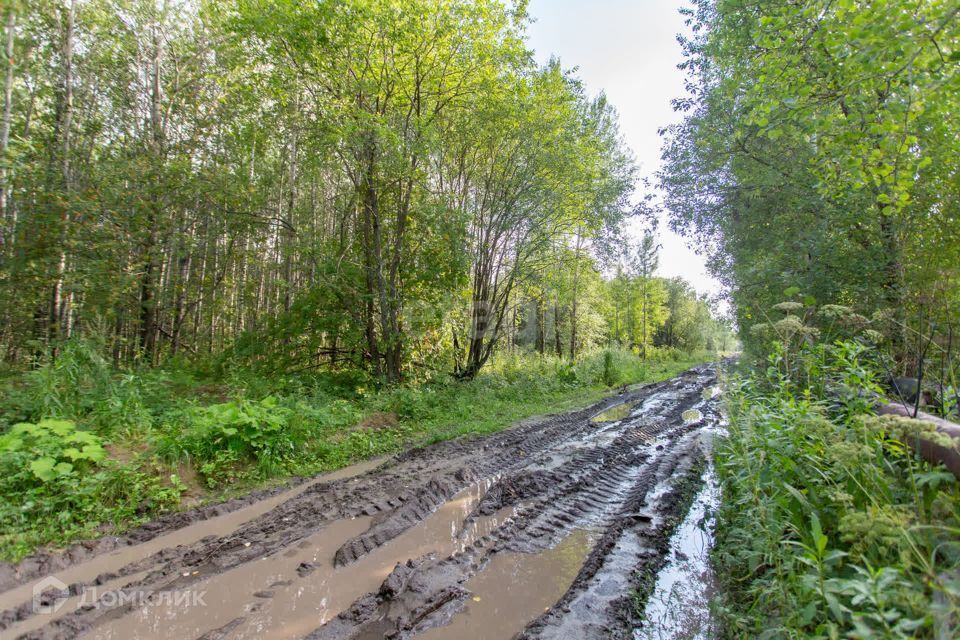 земля г Тобольск Центральная улица, городской округ Тобольск фото 5