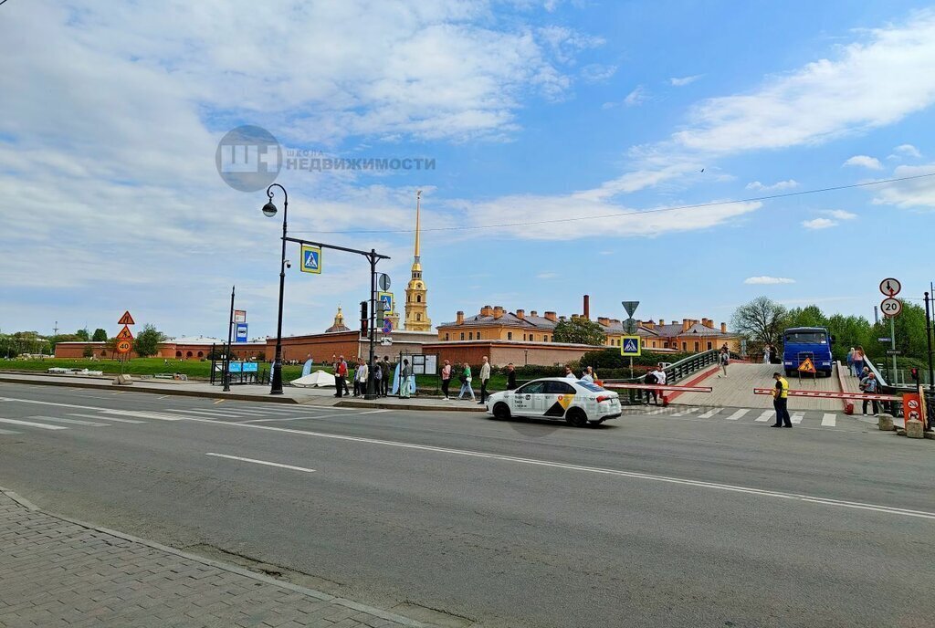 квартира г Санкт-Петербург метро Чкаловская ул Пионерская 13 фото 7