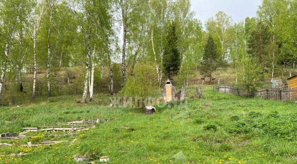 дом р-н Новосибирский снт тер.Северянка Раздольненский сельсовет фото 6