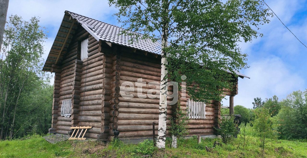 дом р-н Холмогорский д Чевакино 94, Новодвинск фото 3