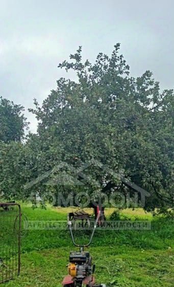 дом р-н Рославльский д Липовка Липовское сельское поселение фото 25