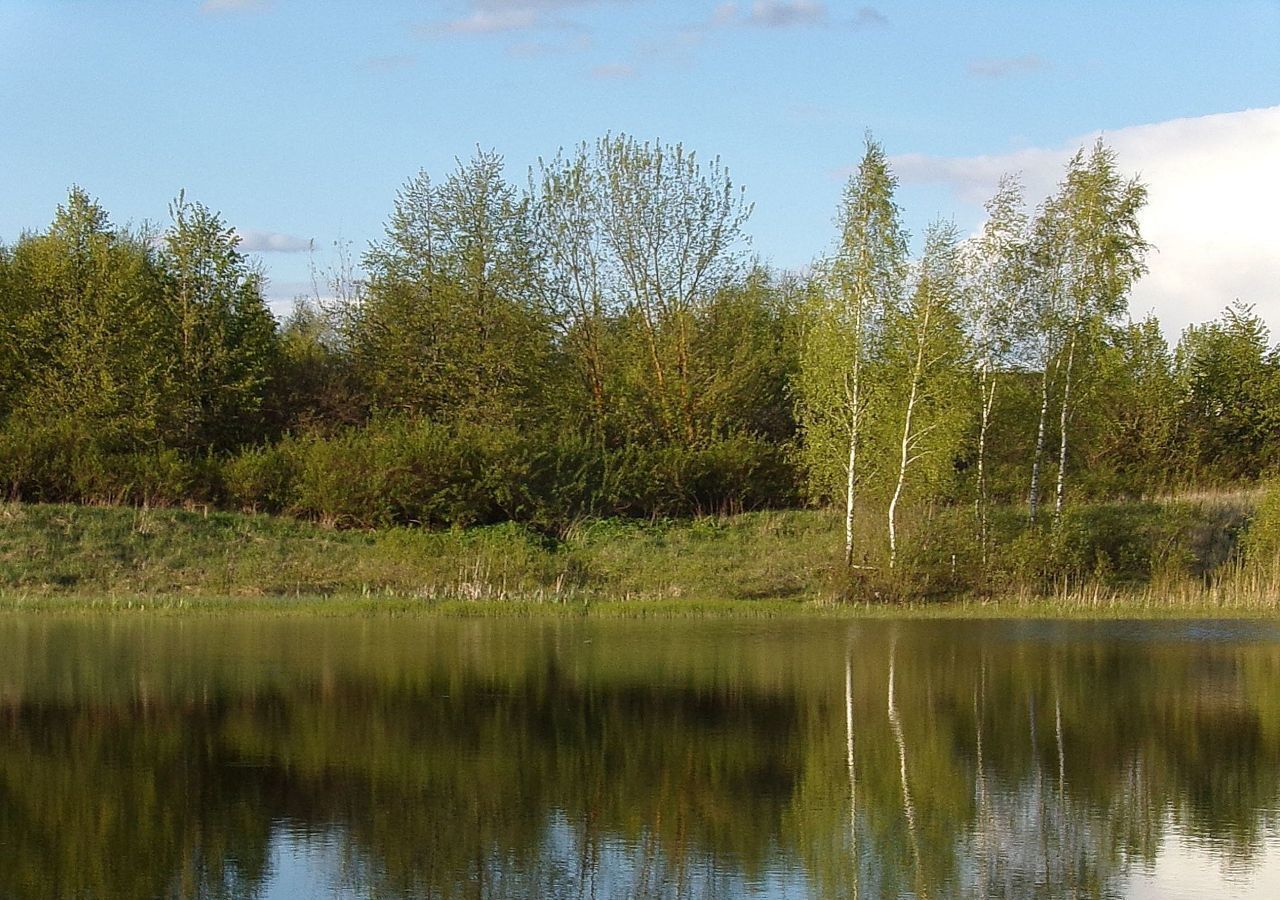 земля городской округ Ступино с Ивановское 9781 км, Михнево, Новокаширское шоссе фото 5