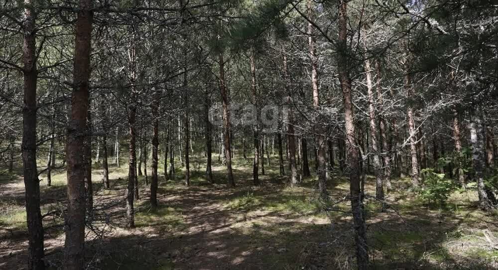 земля г Ростов-на-Дону р-н Ворошиловский садоводческое товарищество Зодчий фото 5