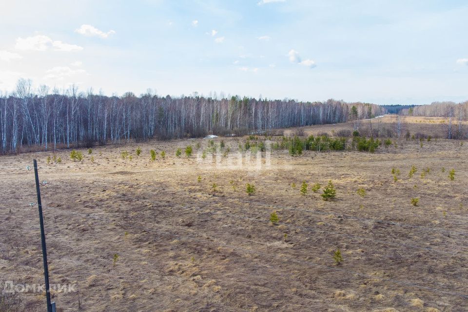 земля р-н Нижнетавдинский село Бухтал фото 3