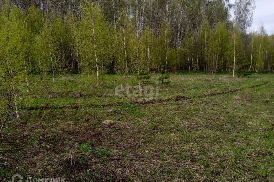 земля р-н Богородский сельский посёлок Мирный, Склад фото 2