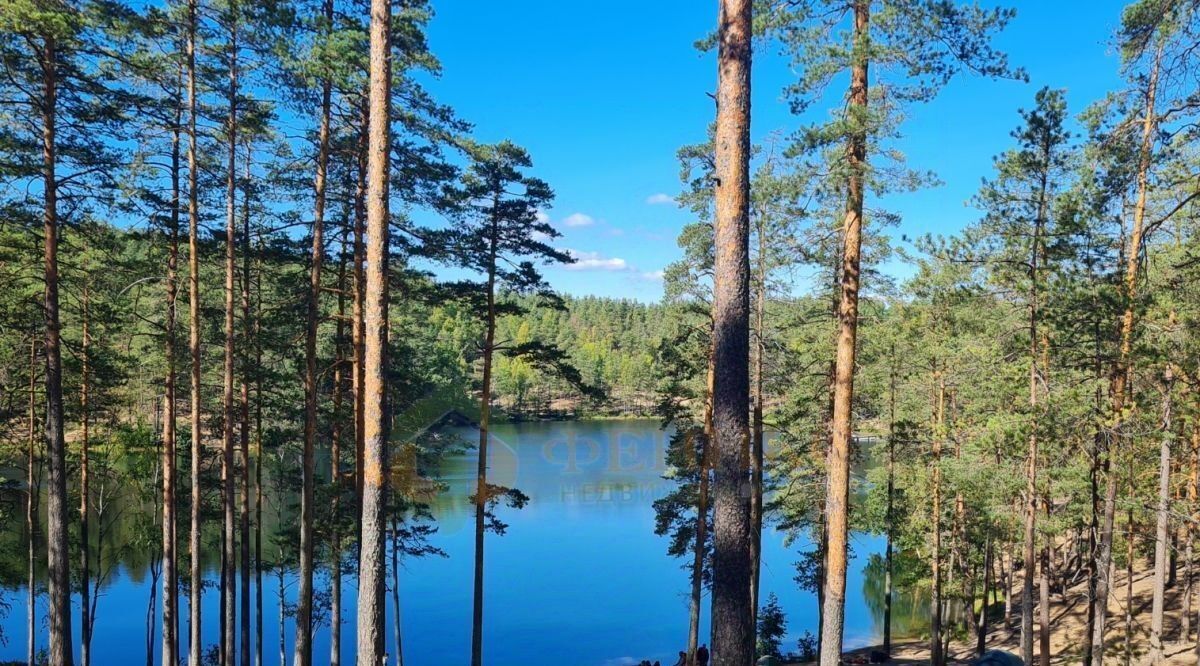 земля р-н Выборгский Рощинское городское поселение, Корунд СНТ, ул. 12-я Лесная фото 14