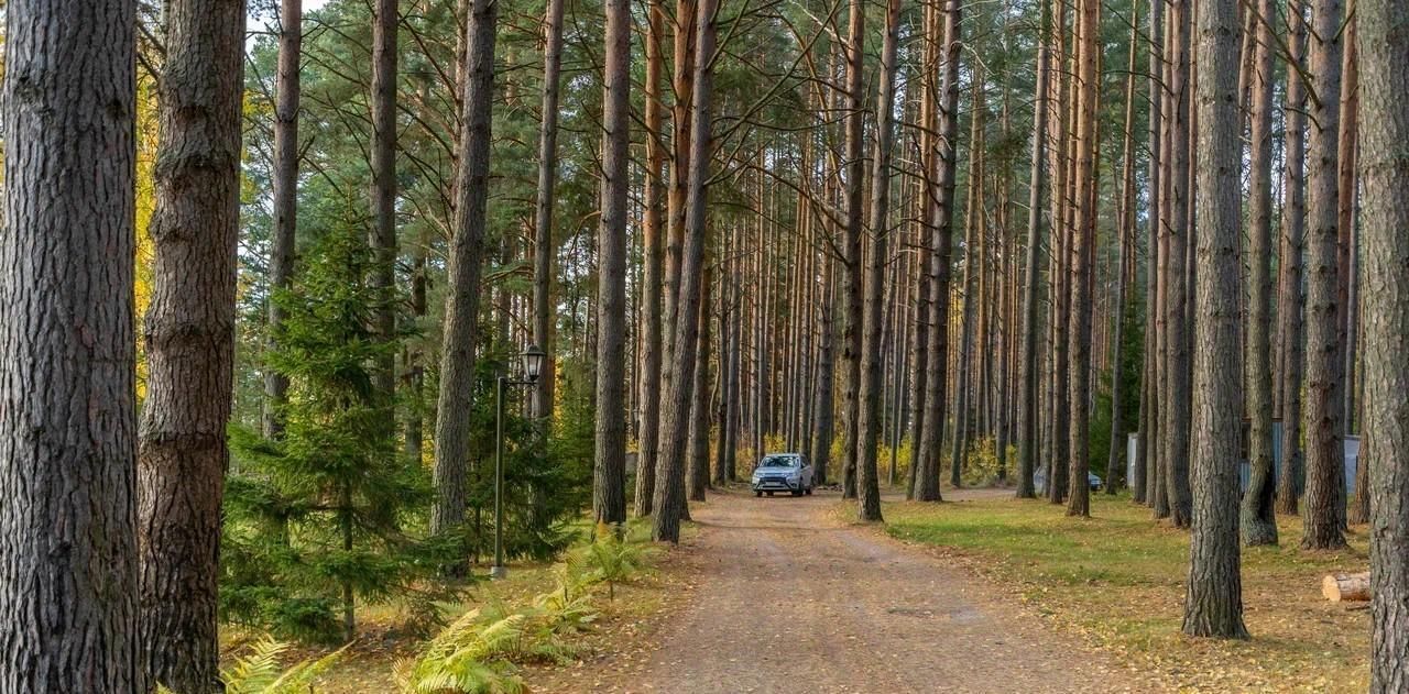 дом р-н Приозерский п Портовое с пос, Громовское фото 21