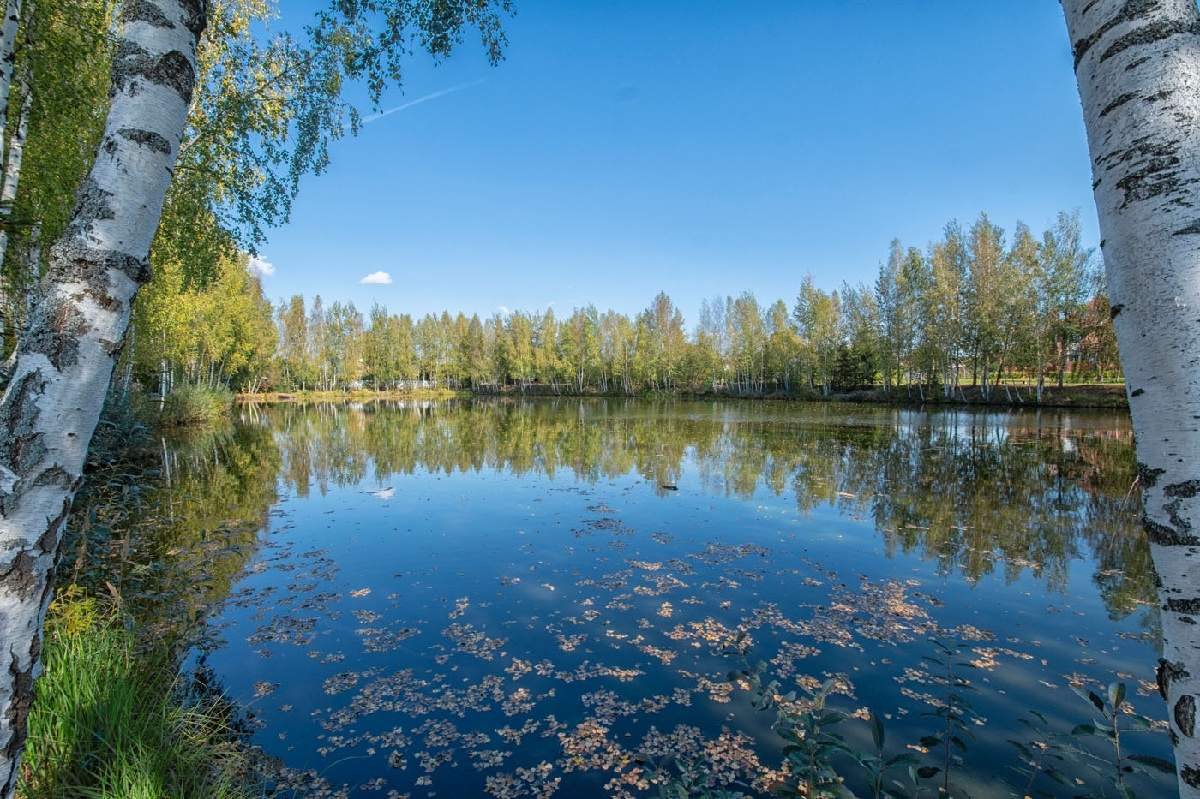 дом городской округ Истра д Падиково Истра г, Восточная улица, д. 70 фото 18