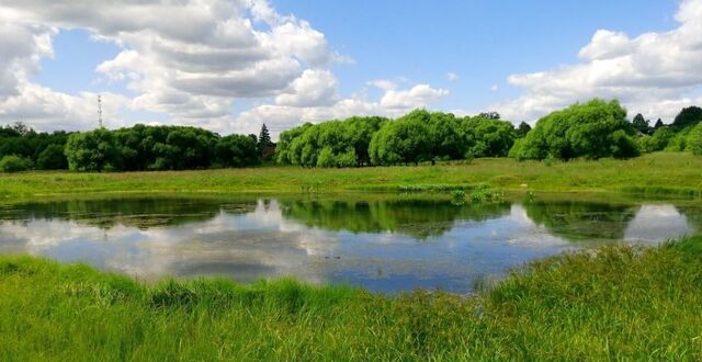 71 км, Орехово-Зуево, Горьковское шоссе фото