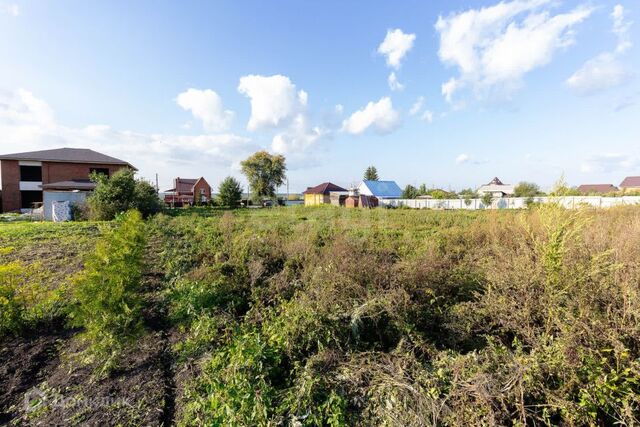 село Луговое фото