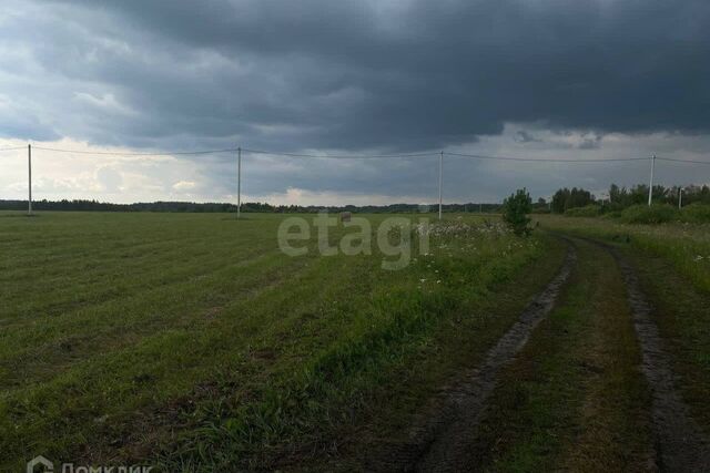 деревня Ермолина фото