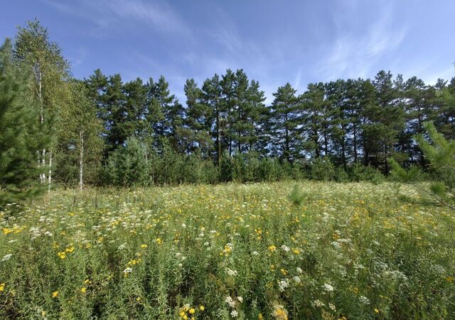 п Воробьевский пер 2-ой Дружный сельсовет, Новосибирск, Кудряшовский фото