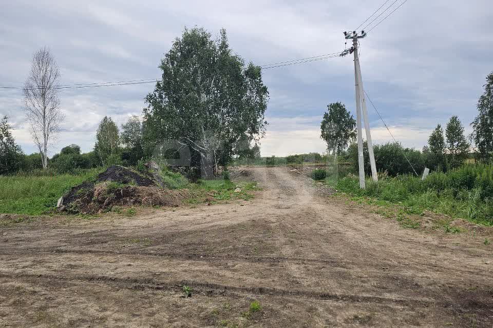 земля р-н Нижнетавдинский село Средние Тарманы фото 10