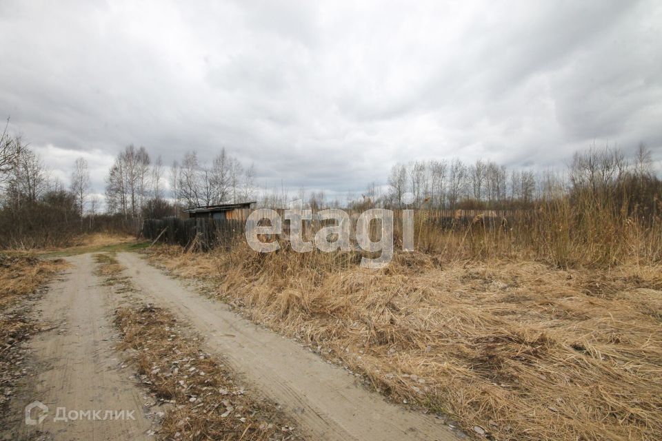 земля г Тобольск СО Майский, городской округ Тобольск фото 6