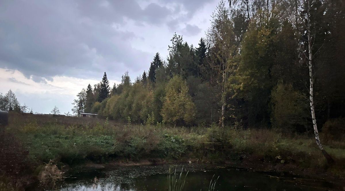 земля городской округ Дмитровский Никулино СНТ, ул. Прудовая фото 2