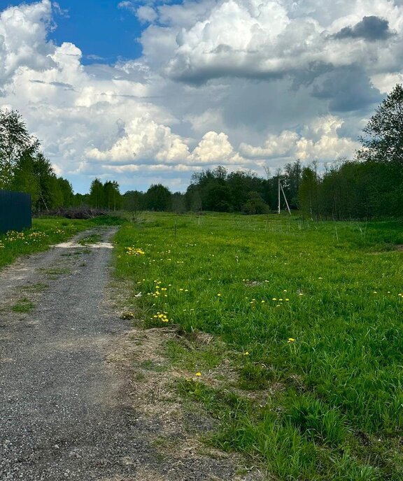 земля городской округ Наро-Фоминский д Настасьино фото 20