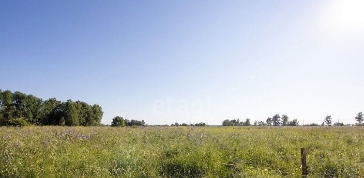 земля р-н Черняховский п Свобода Черняховск фото 3