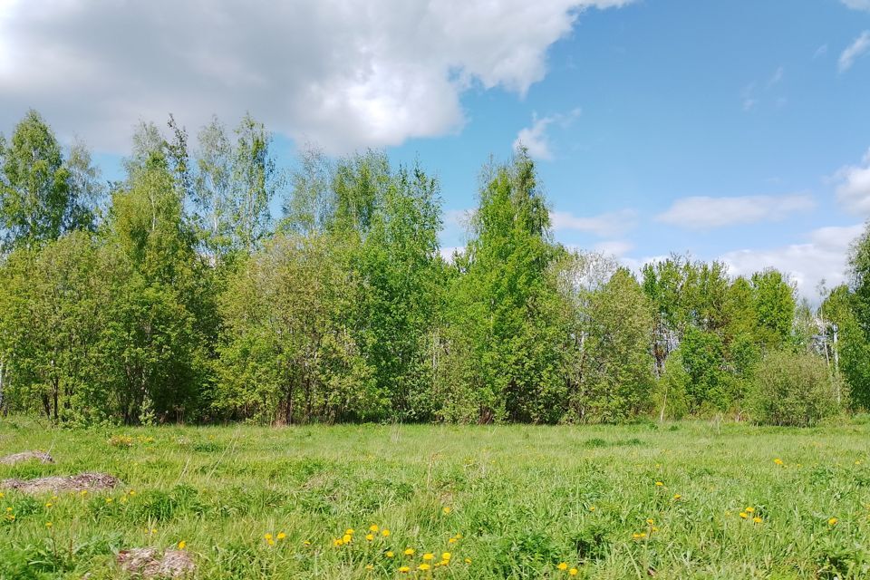 земля городской округ Орехово-Зуевский деревня Кудыкино фото 3