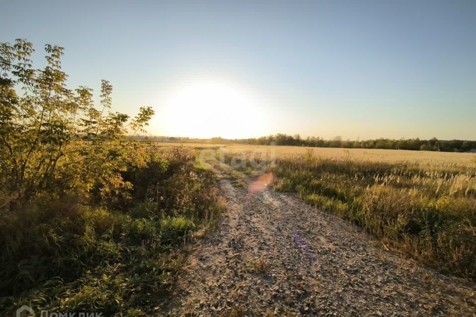 земля городской округ Коломна, деревня Губастово фото 7