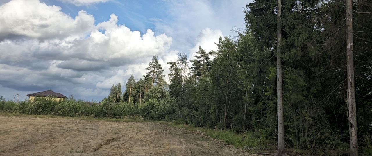 земля городской округ Богородский г Электроугли мкр Светлый 9745 км, Носовихинское шоссе фото 22