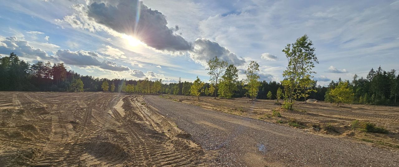 земля городской округ Богородский г Электроугли мкр Светлый 9745 км, Носовихинское шоссе фото 33