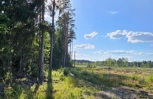 земля городской округ Богородский г Электроугли 9746 км, коттеджный пос. Традиции, Носовихинское шоссе фото 5