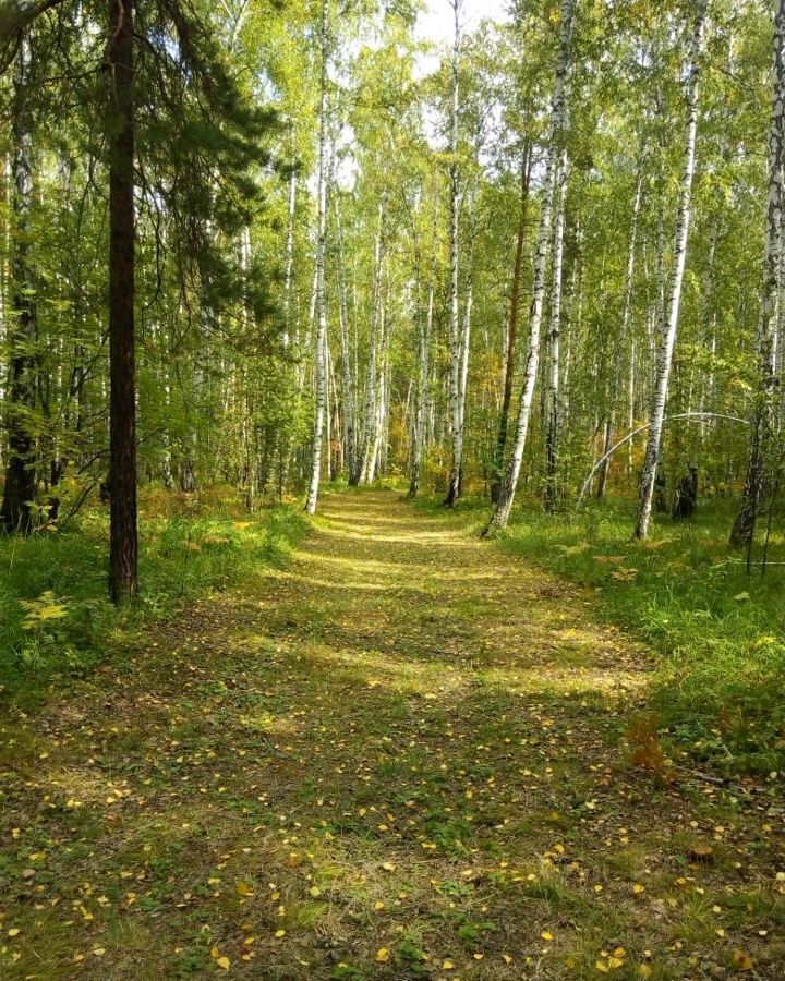 дом г Екатеринбург р-н Чкаловский снт Наука и техника 31 фото 27