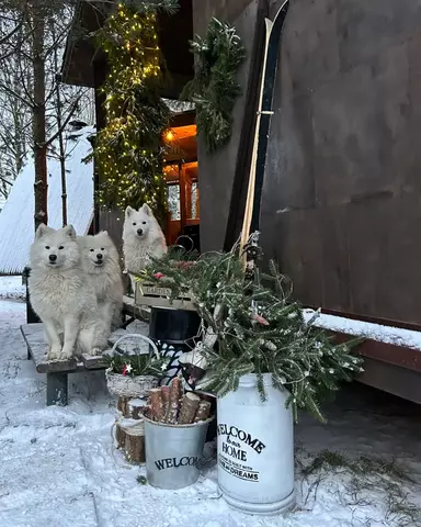 р-н Всеволожский д Разметелево Ласточкин переулок, 3 фото