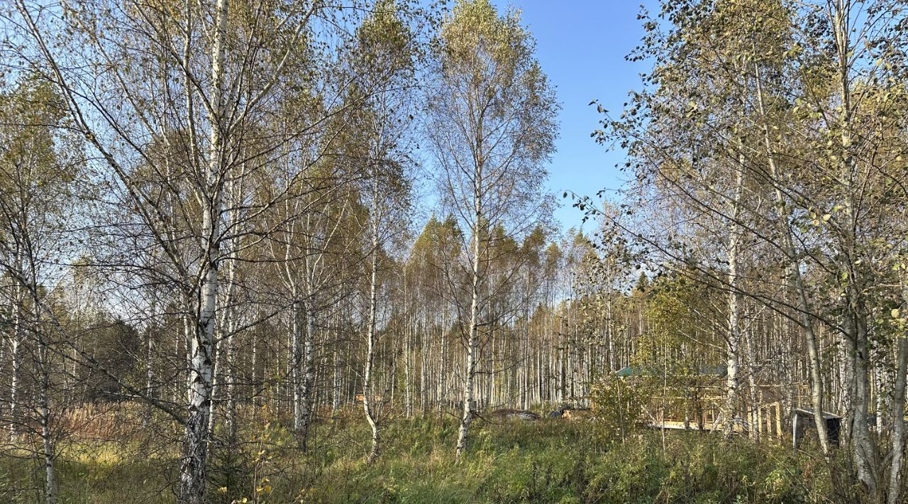 земля городской округ Дмитровский Космынка Светлая кп, ул. Ставропольская фото 1