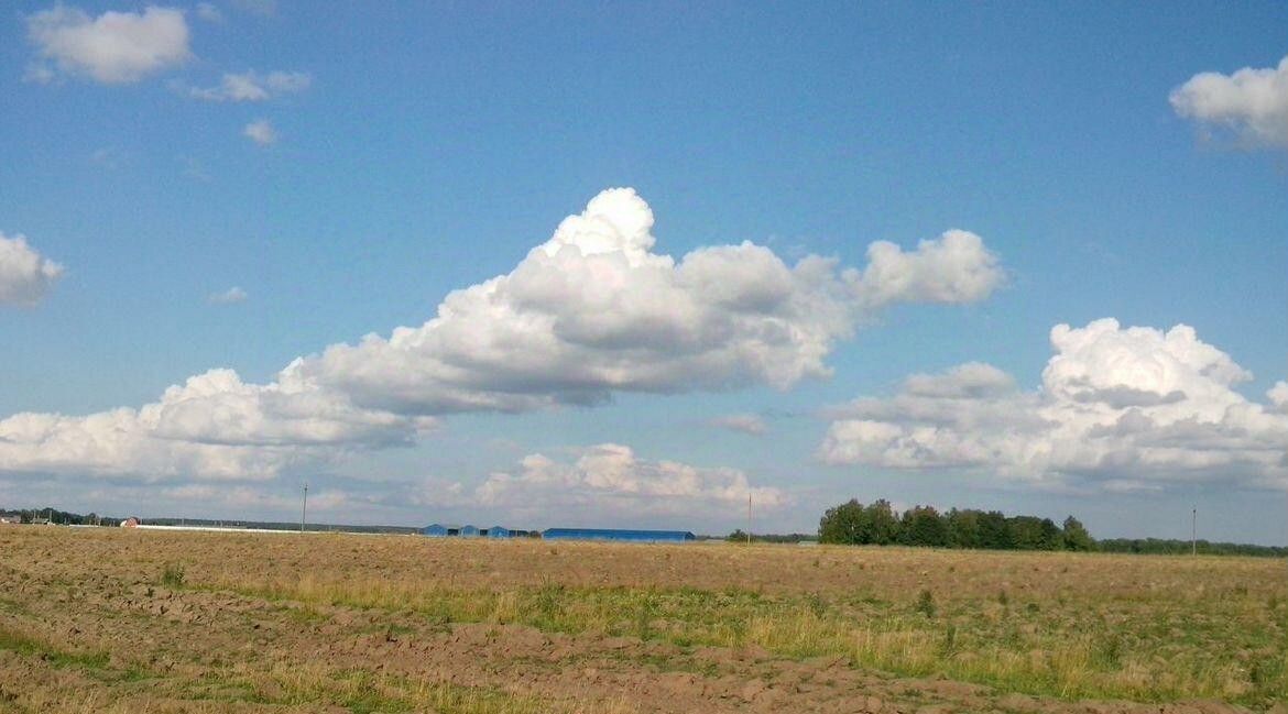 земля городской округ Раменский д Поддубье Ильинская фото 3