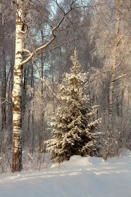 дом р-н Приозерский п Беличье 94 километр, 7 фото 10