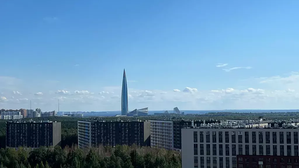 квартира г Санкт-Петербург метро Озерки пр-кт Авиаконструкторов 69 Ленинградская область фото 29