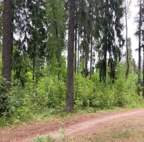 р-н Гатчинский Сиверский городской поселок, просп. Комсомольский, 22 фото