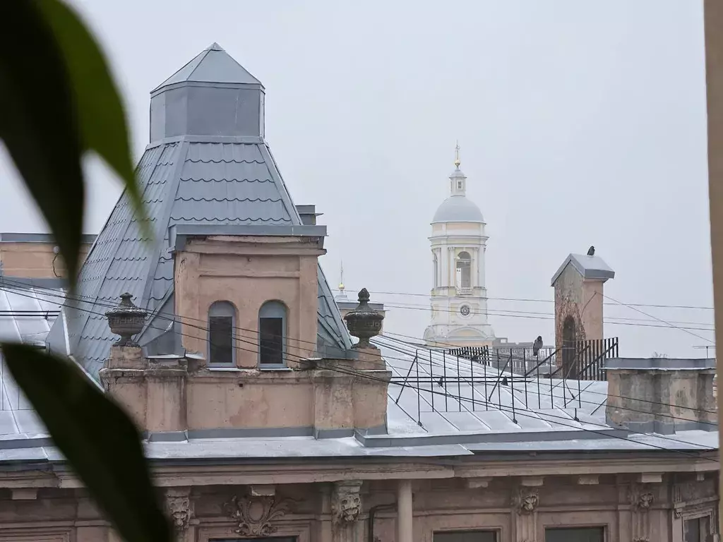 квартира г Санкт-Петербург метро Спортивная ул Съезжинская 8 Ленинградская область фото 42