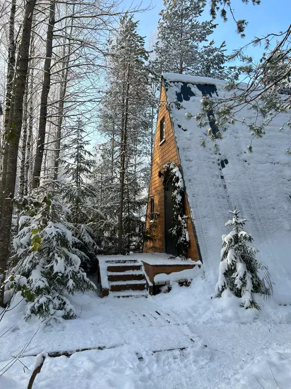 дом р-н Всеволожский г Всеволожск ул Радужная 46/2 фото 16