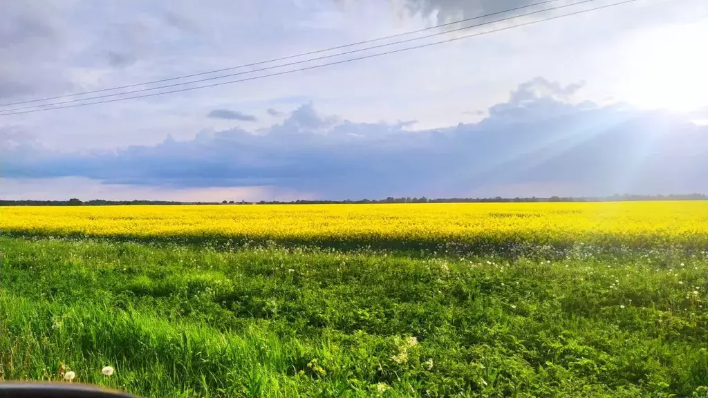 дом р-н Волосовский д Донцо КП Белый берег территория, 147, Волосово фото 22