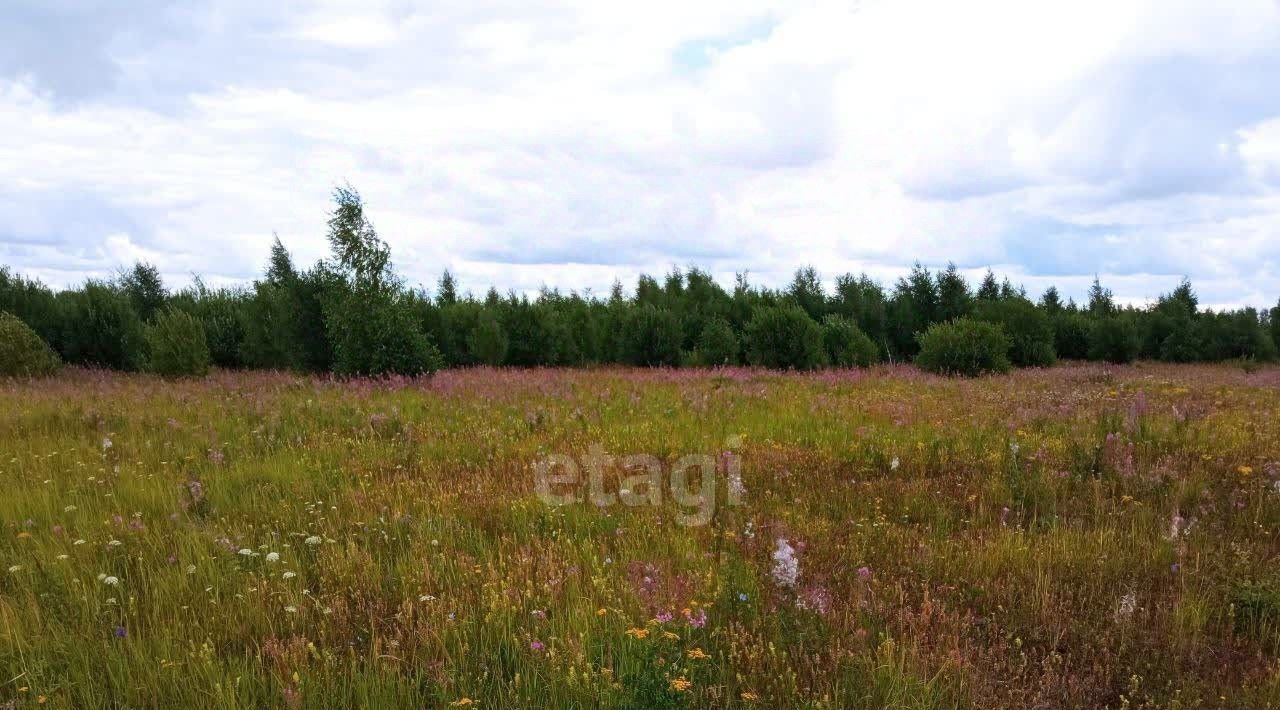 земля р-н Старомайнский рп Старая Майна ул Самарская фото 3