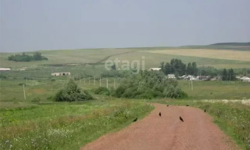 земля р-н Мелеузовский г Мелеуз сад снт Вишневый сад, Центральная улица фото 3