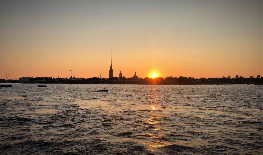 квартира г Санкт-Петербург метро Горьковская ул Малая Посадская 25/4 Ленинградская область фото 12