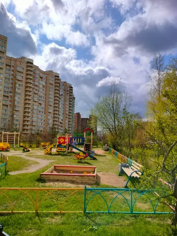 квартира г Санкт-Петербург метро Парк Победы ул Кузнецовская 11 Ленинградская область фото 40